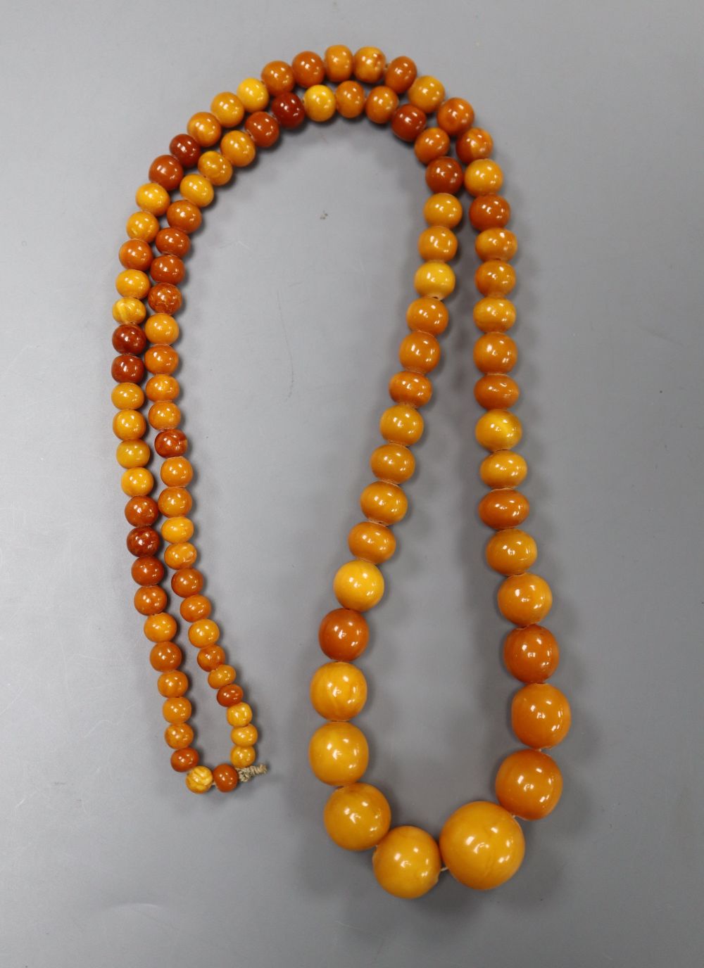 A single strand graduated circular amber bead necklace, 62cm, gross weight 24 grams.